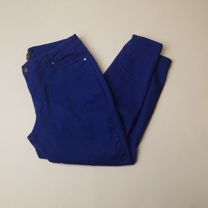 D Jean's blue color Jean's sz 16w